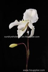 artificial lady's slipper orchid flower