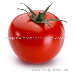 Hongyue Spiral Tomato Supports