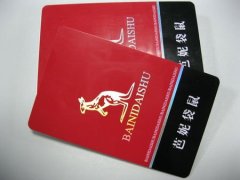 ISO CR80 PVC VIP Card