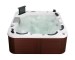 9 persons hot tubs