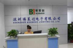 Shenzhen Borneer Electronics Co., Ltd.