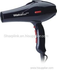 Professional Hair Dryer