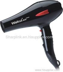 Professional Hair Dryer