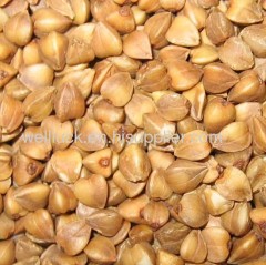Roasted buckwheat Kernel/Groat