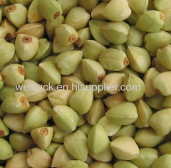 buckwheat kernel