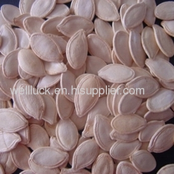 Shine skin pumpkin seeds with shell
