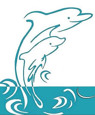 Dolphin Pharmaceutical Ltd.