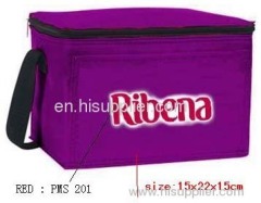 Cooler bag, Picnic bag, Shopping bag, Promotional bag