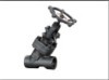 Forged Y-type Globe Valve