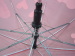 pink umbrella lovely umbrella