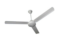 ceiling fans