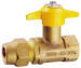 Mini Gas Valve