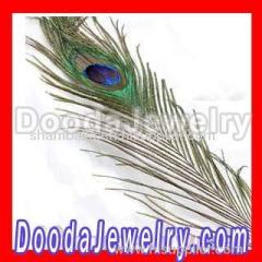 Real Natural Peacock Tail Eye Feather Hair Extension Wholesale