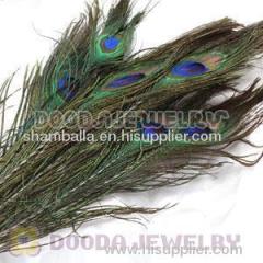 Real Natural Peacock Tail Eye Feather Hair Extension Wholesale