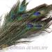 Peacock Feather Hair Extension