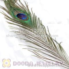 Real Natural Peacock Tail Eye Feather Hair Extension Wholesale