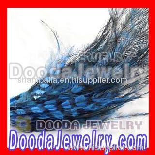 feather hair extensions