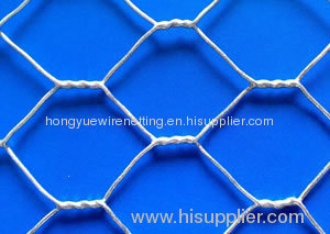 Twisting Hexagonal Net