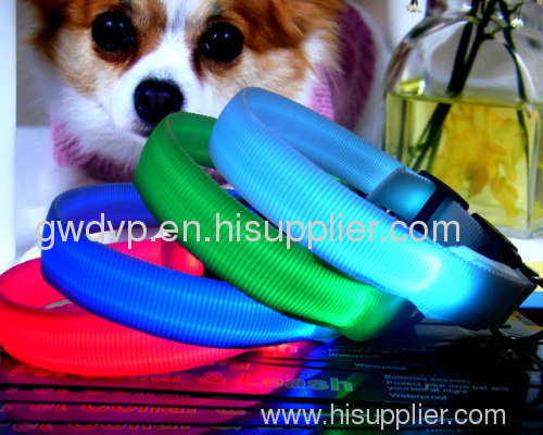 pet collars