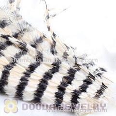 Thin Striped Ivory And Black Dyed Bird Feather Hair Extension Wholesale