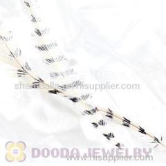 Thin Striped Ivory And Black Dyed Bird Feather Hair Extension Wholesale