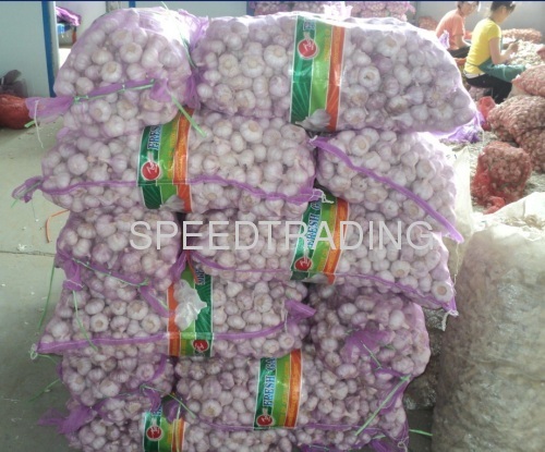 Chinese fresh normal white garlic