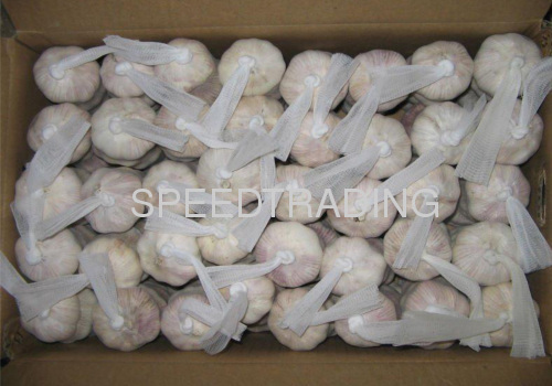 Chinese Fresh Garlic