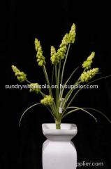 artificial hyacinthum