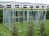 Chain link fence dog kennel