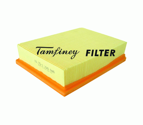 Car air filter and oil filter