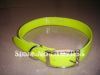 dog collar