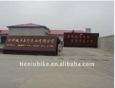 Hebei Tieniu Bicycle Industry Co.,Ltd