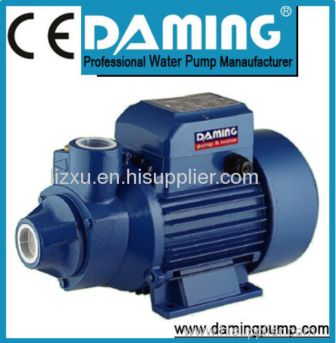 peripheral water pump