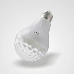 led bulb