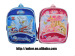 school bag/backpack