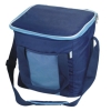 cooler bag