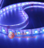 500cm 60LEDs/M waterproof 5050 LED strip light(EFW-5050SMD-500-300-TGG-RGB)