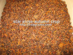 star aniseed good quality from Viet Nam