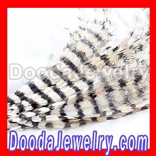 Grizzly Feather Hair Extensions are Today Fun and Flirty Fashion Trend