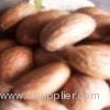 bitter kola nut