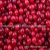 Cranberry P.E. Anthocyanidins