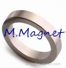 Huge Ring magnet