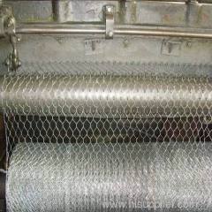 hexagoanl wire netting