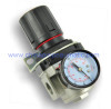 AR3000-02 Air Regulators