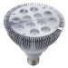 LED PAR38 Spot light