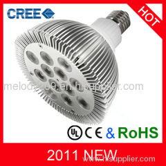 PAR38 led light