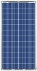 SOLAR MODULE