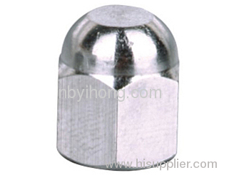 tire valve cap with dust cap