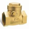 swing check valve