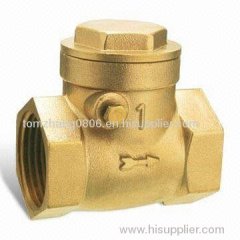 swing check valve